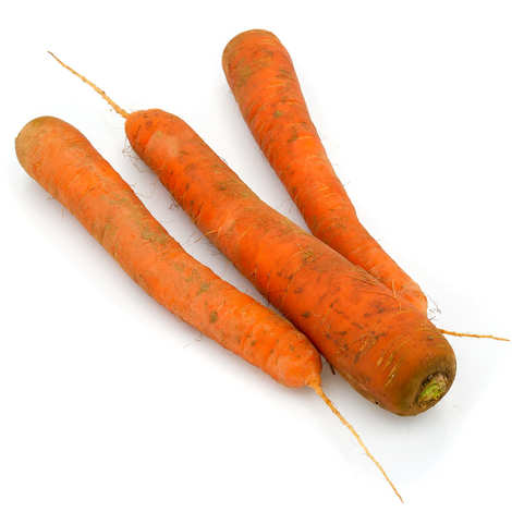 Wortel Vuil BE 5KG BIO