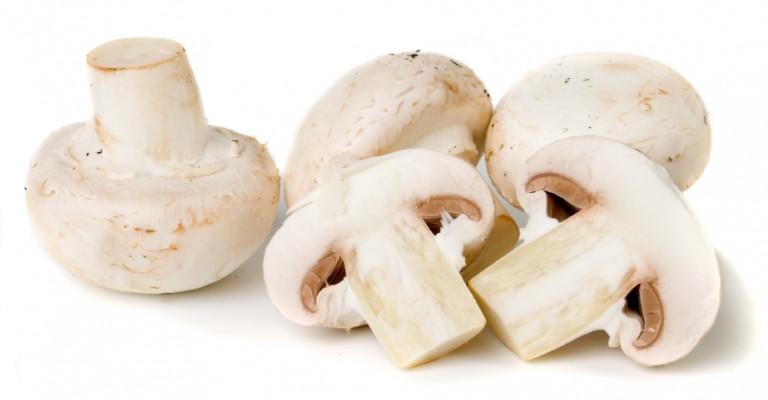 Champignons wit Industrie BE 3KG BIO