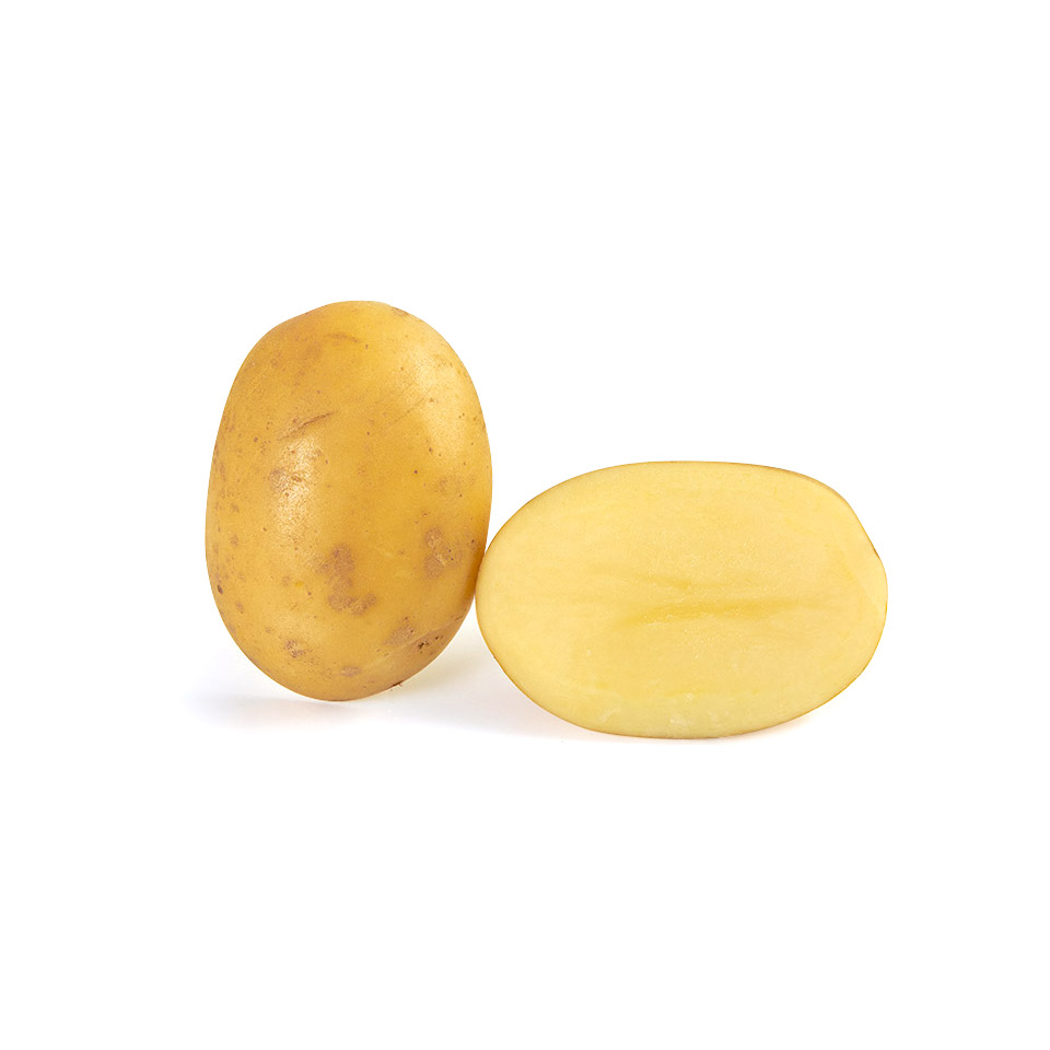 Pomme de terre Ferm Nouvelle!! ES 15KG BIO