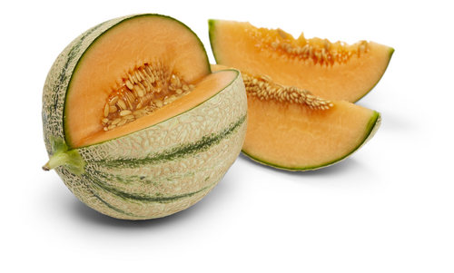 Melon Charantais FR 15ST BIO