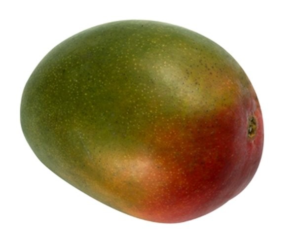 Mango Kent 9st SN 4KG BIO