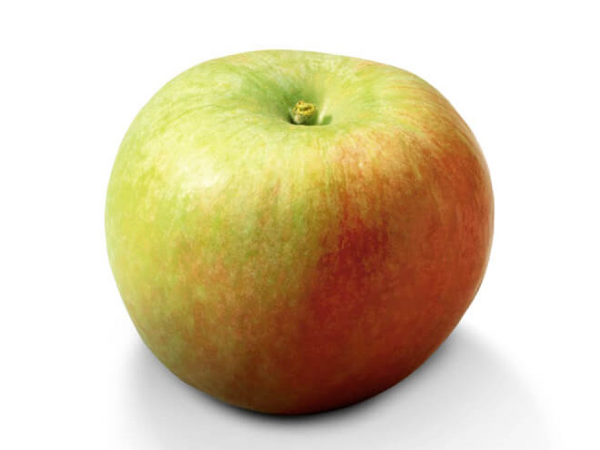 Appel Delbar Estival FR 13KG CAT1 BIO