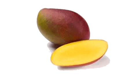 Mangue Osteen 9pc ES 4KG CAT1 BIO
