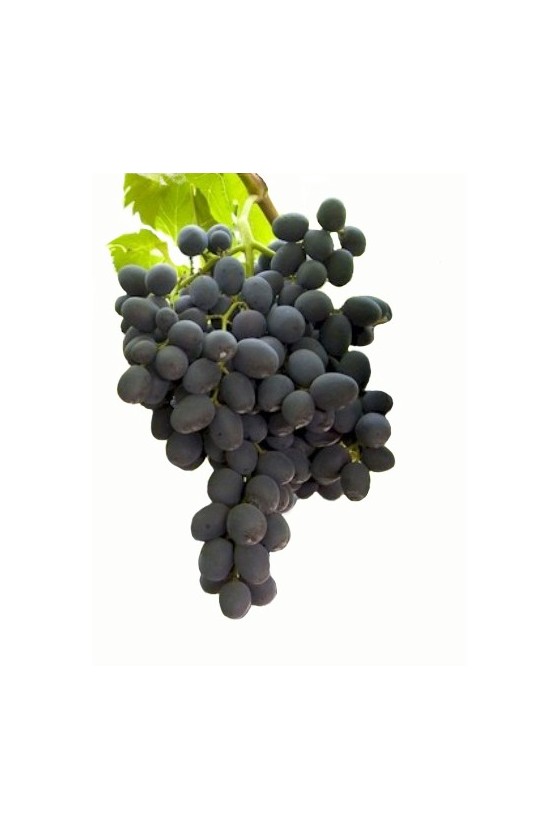 Raisin Rouge Crimson Seedless IT 6KG CAT1 BIO