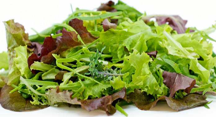 Sla Mix Verpakt 100gr IT 1ST BIO