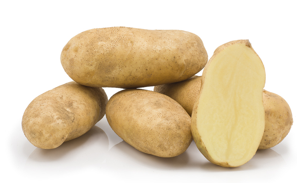 Aardappel Spunta Nieuw TOP! ES 12KG BIO