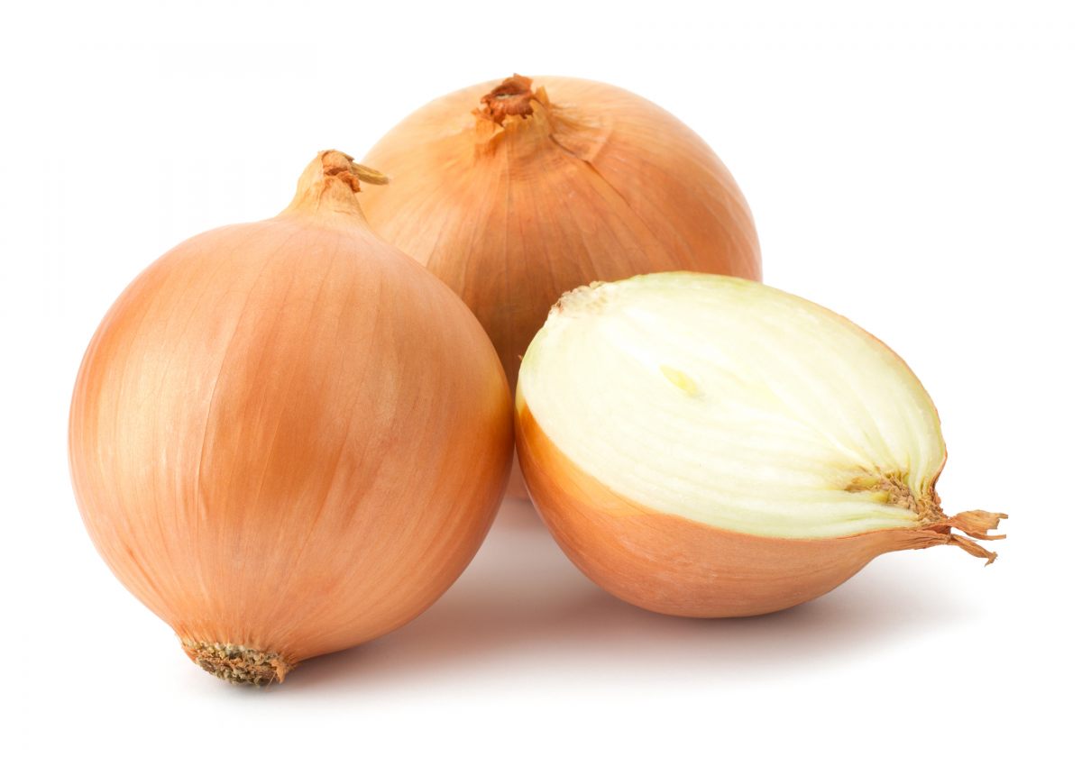Oignon 60/80 Nouvelle Rec.! ES 10KG BIO
