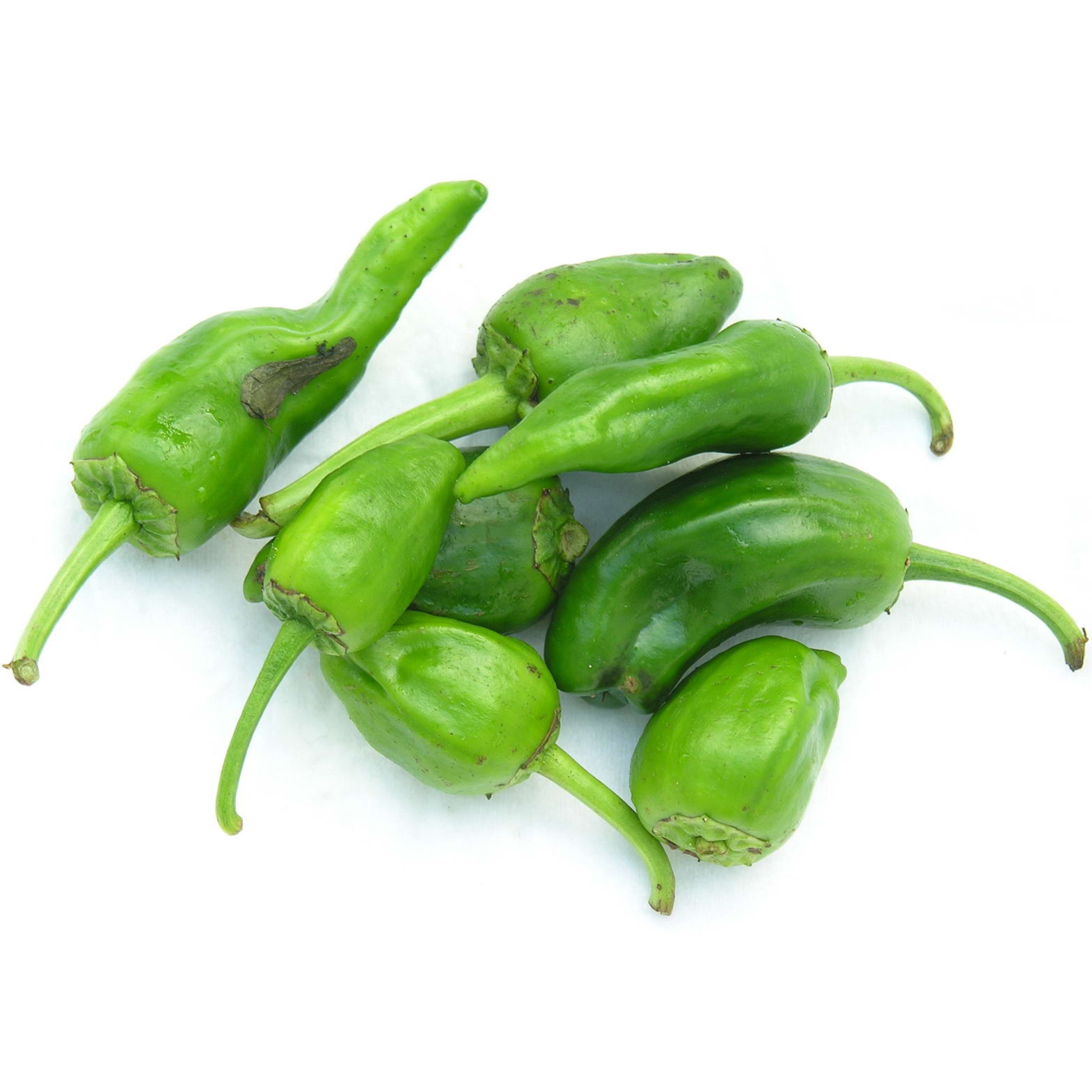Pepers Pardon BE 1KG CAT1 BIO