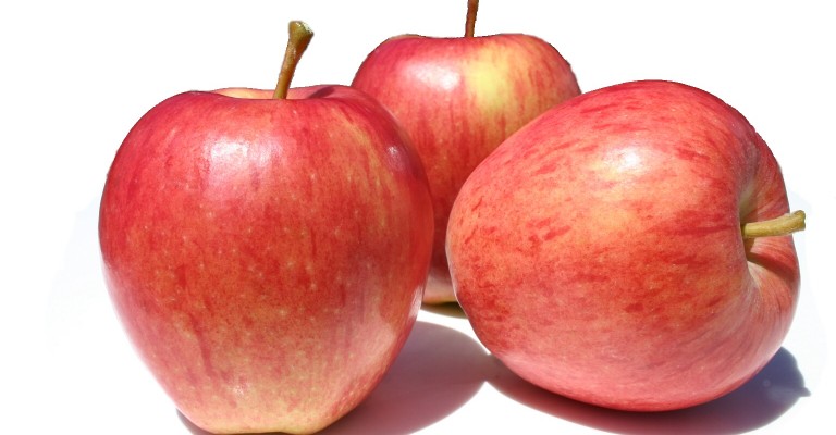 Appel Gala BE 11KG BIO