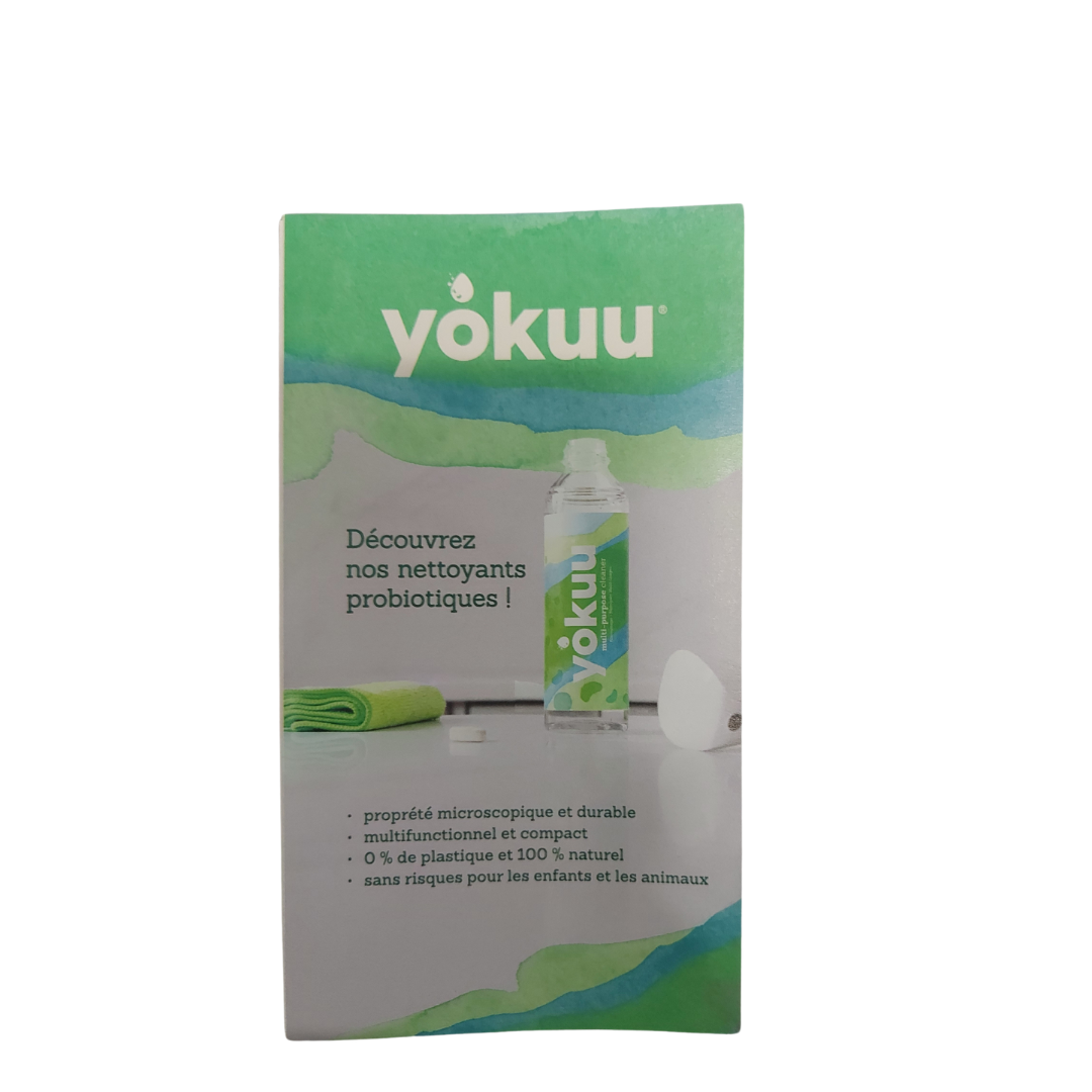 Yokuu flyers FR