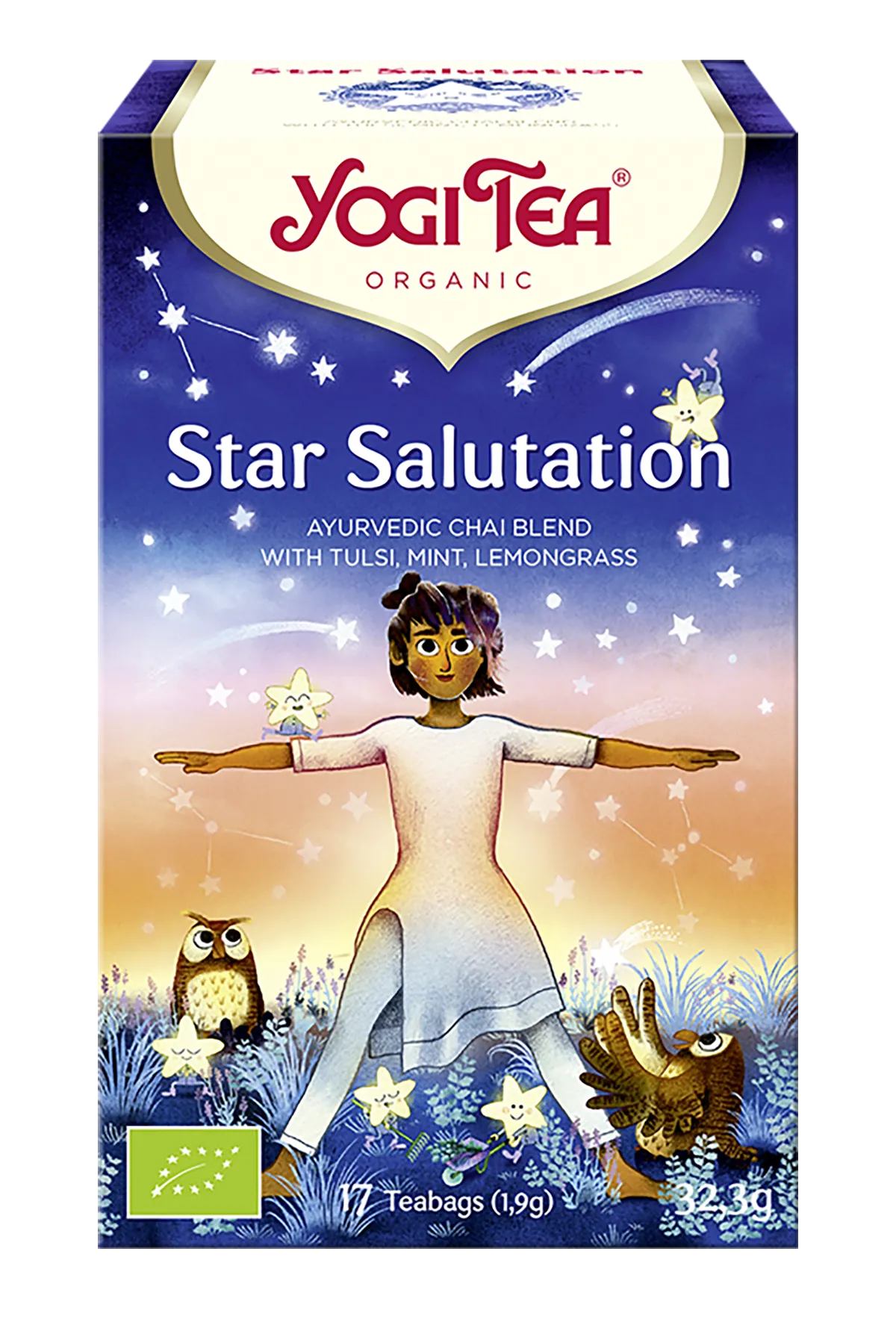 Yogi thee Star salutation bio 17 builtjes